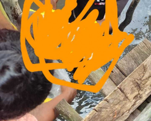 Mayat Bayi Ditemukan di Bawah Kolong Rumah