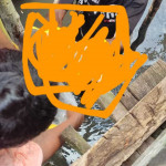 Mayat Bayi Ditemukan di Bawah Kolong Rumah