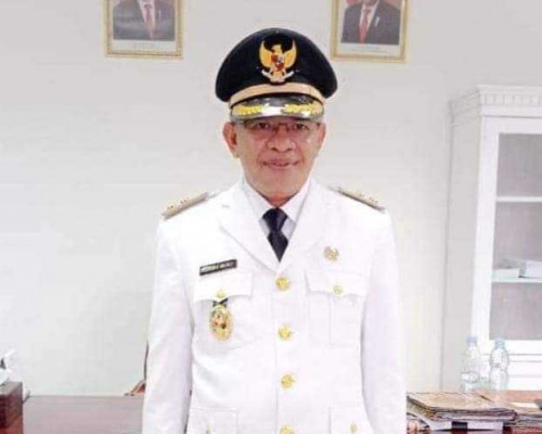 Wabup: Penghapusan Tenaga Honorer Bisa Picu Turbulensi di Pemerintahan