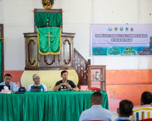 Rehabilitasi Terumbu Karang, KKP-GEF 6 CFI Indonesia dan DKP Maluku Sosialisasikan Artificial Reef