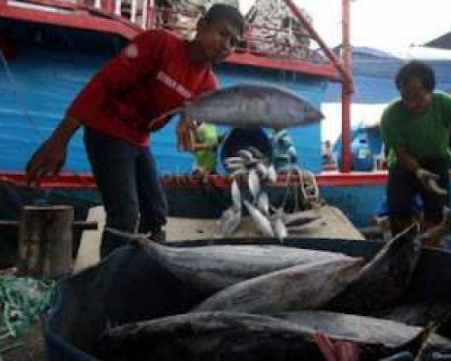 DKP Bursel Kekurangan Tenaga Penyuluh Perikanan