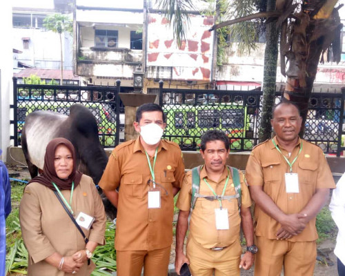 Ribuan Hewan Kurban Diperiksa Jelang Idul Adha