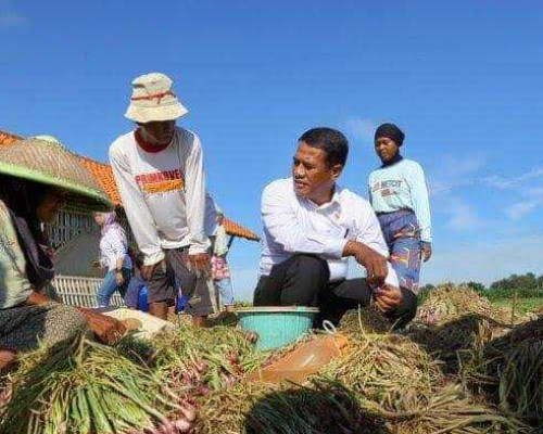 Gubernur Kalsel Ungkap Rahasia  Andi Amran Sulaiman Mampu Wujudkan Indonesia sebagai Lumbung Pangan
