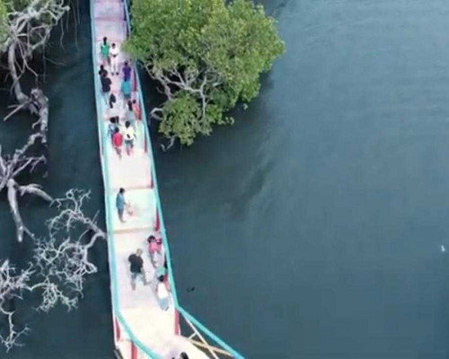 Bantuan Pengembangan Ekowisata Mangrove di KKT Terancam Batal