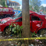 Mobil Honda Brio Hantam Pohon, 1 Penumpang Tewas