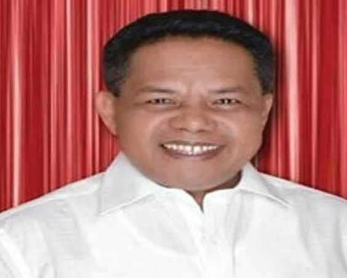 Jadi Anggota Baru PDIP, Herman: Tidak Ada Target Politik Tertentu