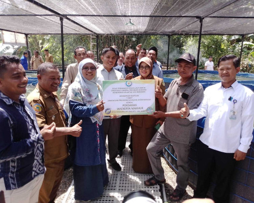 BPBL Ambon Distribusi 1.033.740 Bantuan Benih Ikan Laut Kepada Masyarakat