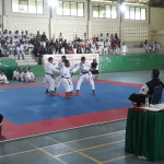 Kenshi Kota Ambon Gondol 10 Medali