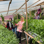 Ayu Hasanusi Berdayakan Petani dan Kelompok UMKM Kota Ambon