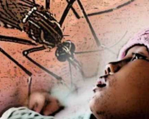 Terjangkit Malaria, Warga Namrole Ramai-ramai Dilarikan ke Rumah Sakit