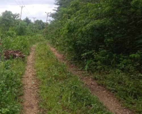 Belasan Tahun, Jalan Lingkar Kecamatan Ambalau Belum Juga Dikerjakan