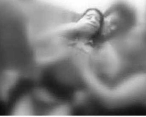 Dua Oknum Polisi Diduga Perkosa Wanita 39 Tahun