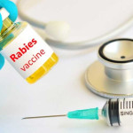 Pemkot Ambon Minta Tambahan Vaksin Rabies