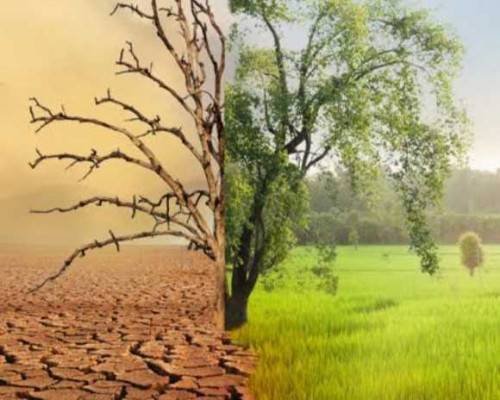 Dirjen KLHK Bahas Perubahan Iklim di Ambon