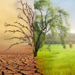 Dirjen KLHK Bahas Perubahan Iklim di Ambon