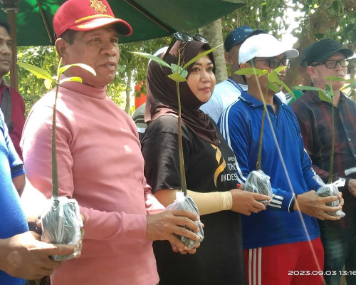 Dukung Pengembangan Desa Wisata, Safitri Tanam Ratusan Anakan Mangrove