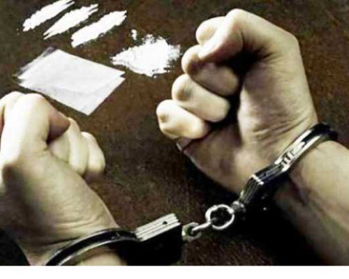 Jadi Kurir Narkoba, Pricilla Dituntut 6 Tahun Penjara