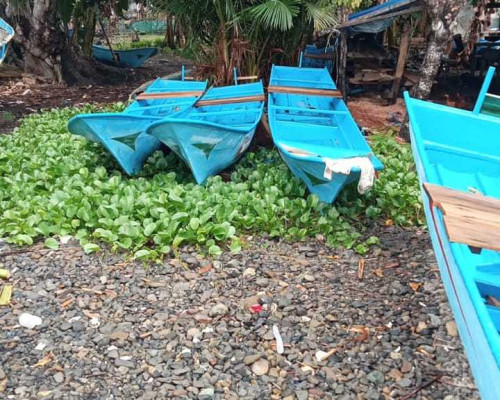 Kades Tahalupu Abaikan Hak Masyarakat Dusun