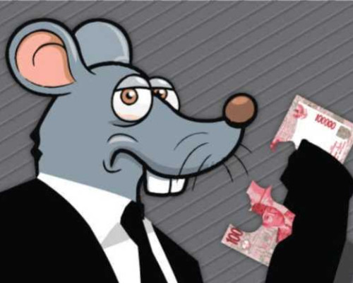 Usut Korupsi, Polda Maluku Periksa Fisik Gedung PKK SBB