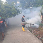 Antisipasi DBD Meluas, DKPPKB Bursel Lakukan Penyemprotan 