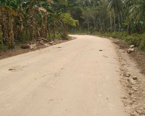 Jalan Lingkar Pulau Kelang Fokus Pemkab SBB