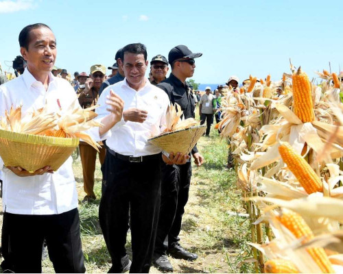 Anggota DPR RI Muhammad Aras Curhat Harga Jagung
