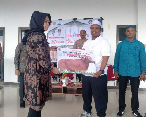 Jelang Perayaan Idul Adha, Pemkab Bursel Serahkan 14 Hewan Qurban 