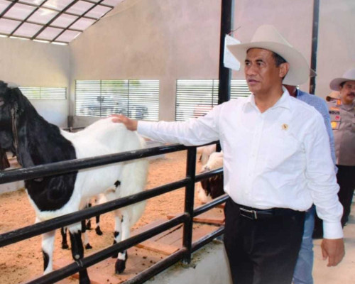 Jadi Orang Terkaya di Sulsel, Andi Amran Sulaiman sesuai LHKPN di KPK