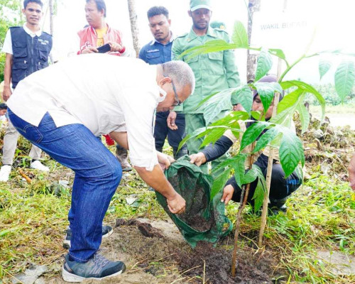 Peringati Hari Lingkungan Hidup Sedunia, Pemkab Bursel Tanam 1000 Anakan Pohon