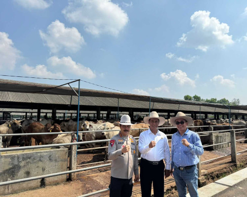 Mentan dan Wakapolri Makin Lengket Urus Ternak 