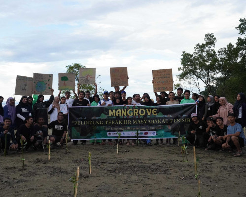 Peringati Hari Lingkungan Sedunia, Organisasi Pemuda Tanam Mangrove di Mamala
