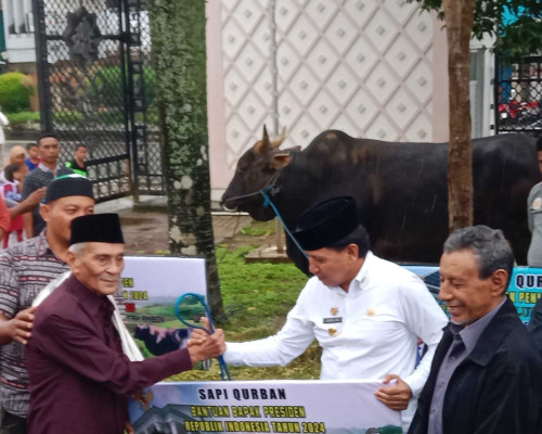 Jelang Idul Adha, Pemrov Maluku Serahkan 157 Ekor Hewan Kurban 