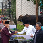 Jelang Idul Adha, Pemrov Maluku Serahkan 157 Ekor Hewan Kurban 