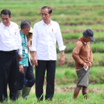 Petani Sebut Jokowi dan Mentan Amran Berkah Bagi Kemajuan Pertanian Indonesia