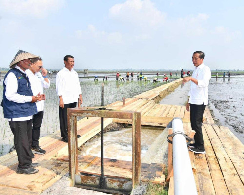 Presiden Didampingi Mentan Amran Akselerasi Pompanisasi di Lampung