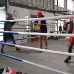 Sasana Bina Satria Jadi Pusat Latihan Atlet PON Tinju Maluku