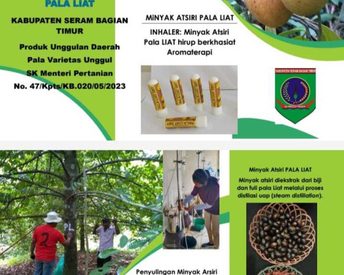 Pemda SBT Diminta Kembangkan Pala Liat Varietas Unggul Hasi Daerah