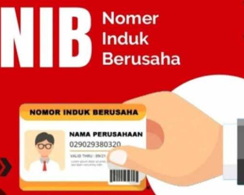 Ribuan Pelaku Usaha di Ambon Dapatkan NIB Secara Gratis 