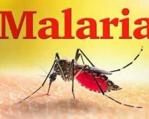 Pemkab SBT Upayakan Eliminasi AIDS dan Malaria