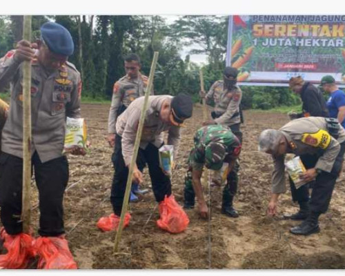 Dukung Program Asta Cita Presiden, Polres Bursel Lakukan Penanaman Jagung Serentak