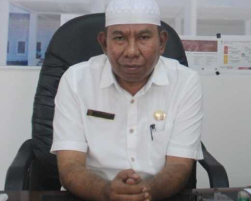 Solissa Sebut Semua Honorer Database BKN Bakal Dapat NIP