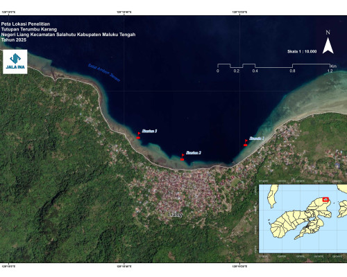 Hasil Riset Jala Ina, Tutupan Karang Hidup di Negeri Liang di Bawah 5 Persen