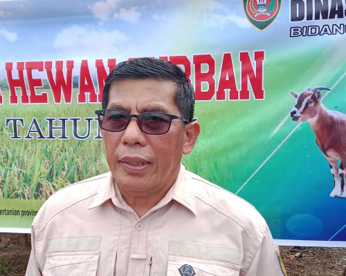 Distan Maluku Awasi Kesehatan Hewan Qurban Jelang Idul Adha 1446 H