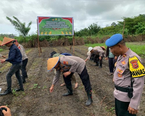 Dukung Ketahanan Pangan Nasional, Polres Bursel Lakukan Penanaman Jagung Kuartal III
