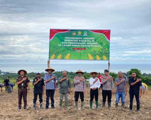 Brimob Polda Maluku Kembali Tanam Jagung Kuartal III di SBT