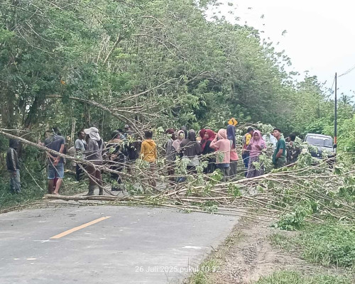 Bupati SBB Diminta Tinjau Kembali Perizinan PT SIM