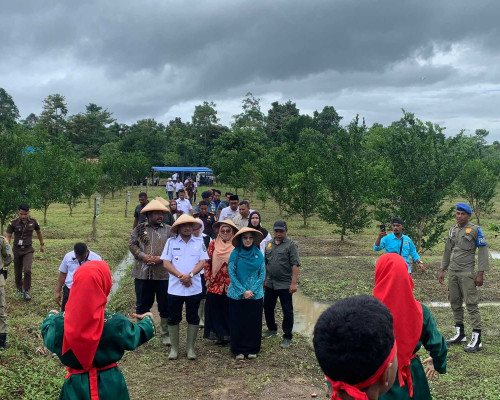 Bupati SBT Serahkan Bantuan P2B Kepada Belasan Kelompok Tani