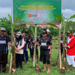 Kejari SBT Gandeng TNI AD dan Wartawan Tanam Ratusan Pohon Pisang dan Cabai