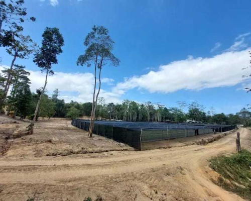 PT SIM Resmi Tutup Usaha di SBB