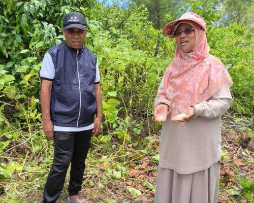 Saadiah Uluputty Dorong Konektivitas di Pulau Tam, Kunjungi Titik Lokasi Pembangunan Pelabuhan Feri